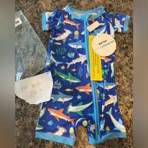 Little sleepies shark